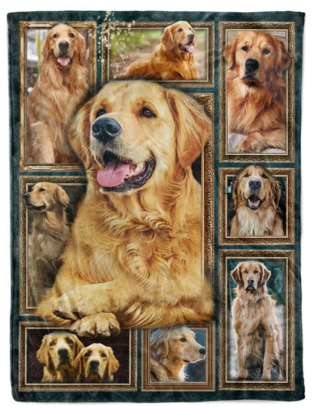 Golden Retriever Dogs Blanket Gift For Dog