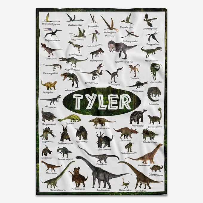 Personalized Dinosaur Blanket, Baby Girl Blanket