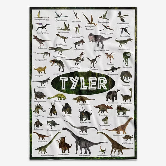 Personalized Dinosaur Blanket, Baby Girl Blanket
