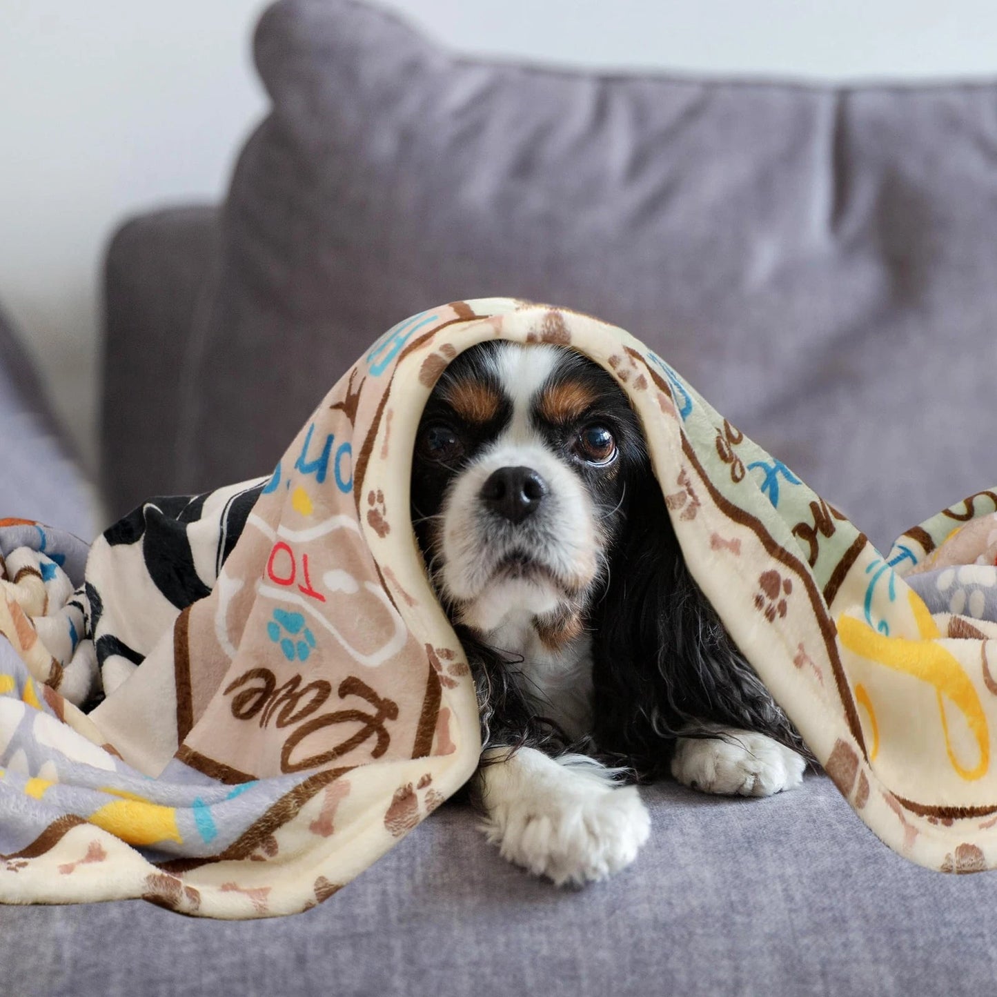 Best Dog Mom Ever Quotes, Dog Blanket